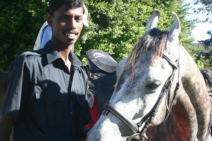 Horse Riding in Nuwara Eliya: 4-Hour Tea-Estate Trail Ride photo 4