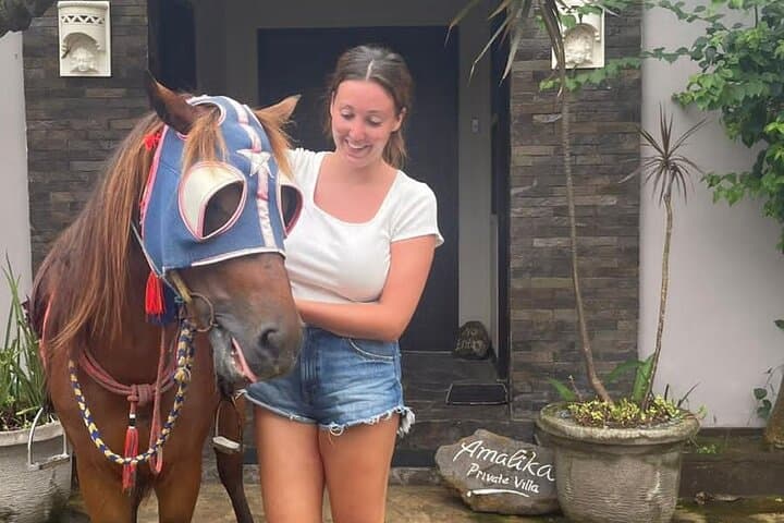 Sunset Horseback Ride on Gili Trawangan Beach photo 6