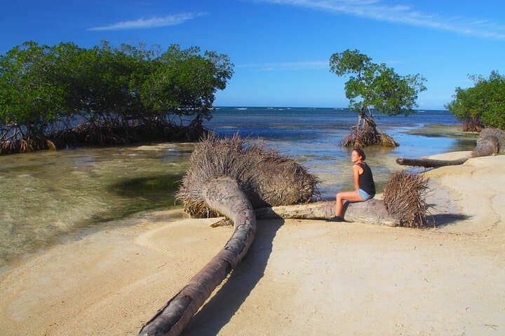 Private Full-Day Tour of Los Haitises National Park: Caves, Mangroves & Sabana de la Mar photo 3