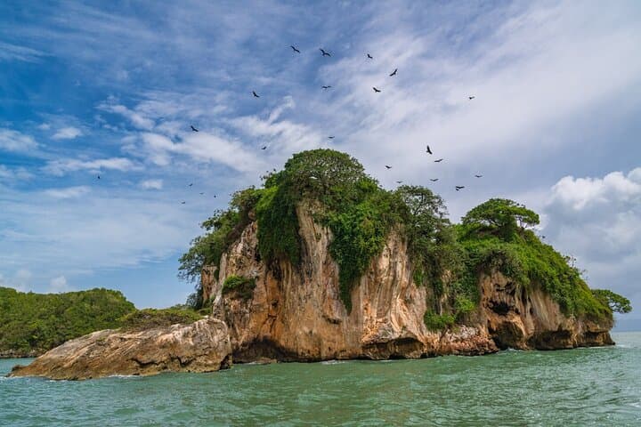 Private Full-Day Tour of Los Haitises National Park: Caves, Mangroves & Sabana de la Mar photo 5