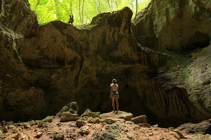 Private Full-Day Tour of Los Haitises National Park: Caves, Mangroves & Sabana de la Mar photo 2