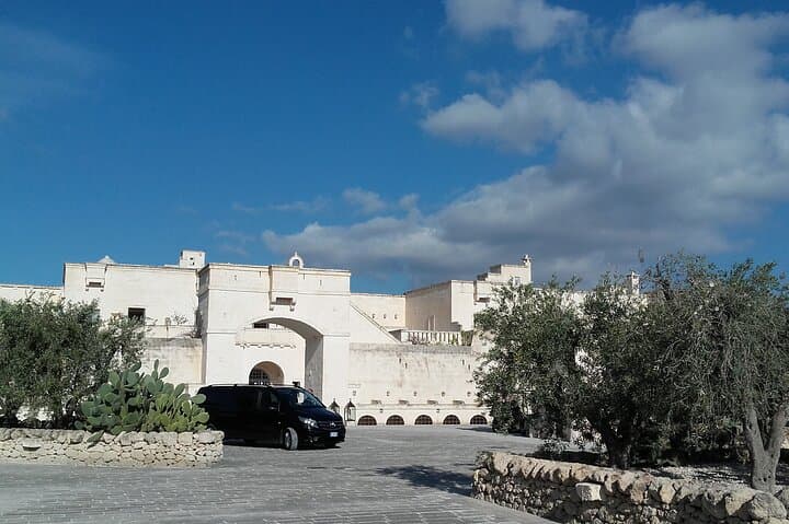Full-Day Valle d'Itria & Ostuni Tour from Bari — Puglia Countryside and Coast photo 5