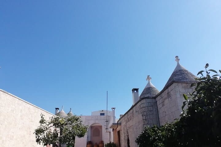 Full-Day Valle d'Itria & Ostuni Tour from Bari — Puglia Countryside and Coast