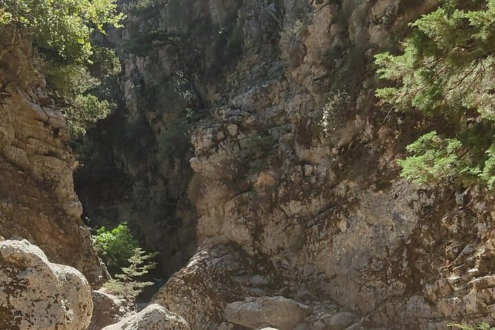 Imbros Gorge Day Hike from Chania — 8 km Gorge Walk & Libyan Sea Swim photo 3