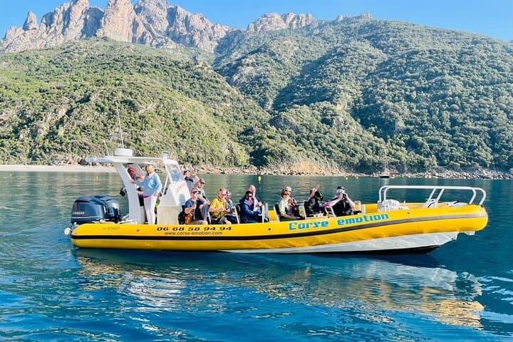 Half-Day Boat Trip to Scandola & Calanche de Piana from Porto photo 3