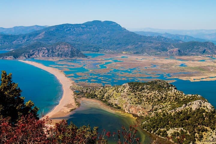 Dalyan Day Cruise: Turtle Beach, Mud Baths & River Tour from Fethiye photo 3