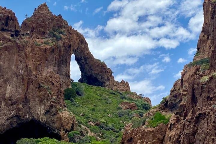 Half-Day Boat Trip to Scandola & Calanche de Piana from Porto photo 4