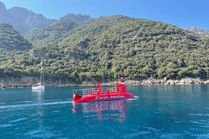 Semi-Submarine Tour to Porto Bay Seabed — Calanche and Scandola Views
