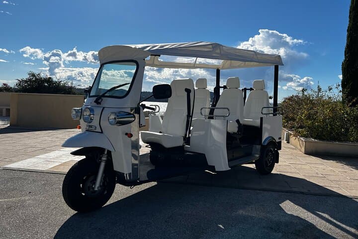 E-Tuk Tour in Mljet National Park — Lakes, Roman Ruins & St. Mary Island photo 4