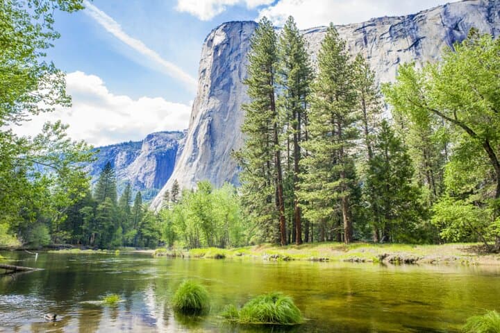 Self-Guided Yosemite Driving Audio Tour: Scenic Route, Stops & Tips photo 6