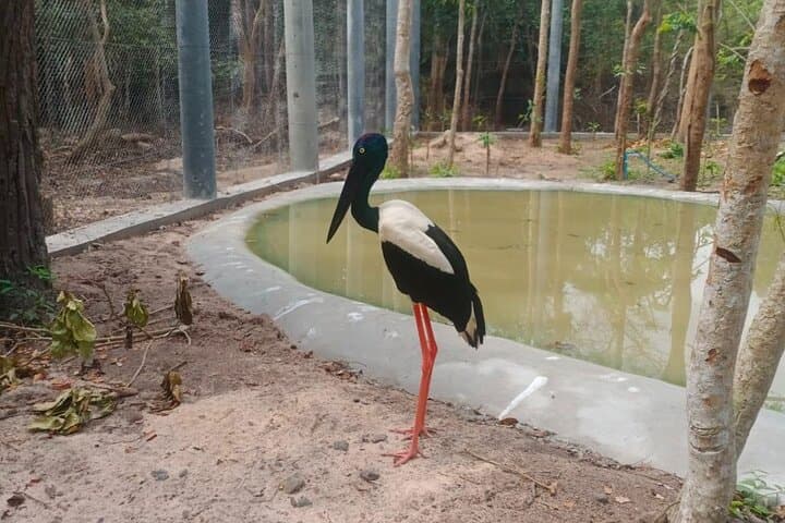 Phnom-Tamao-Wildlife-Sanctuary-and-Chisor-Countryside-Day-Tour photo 3
