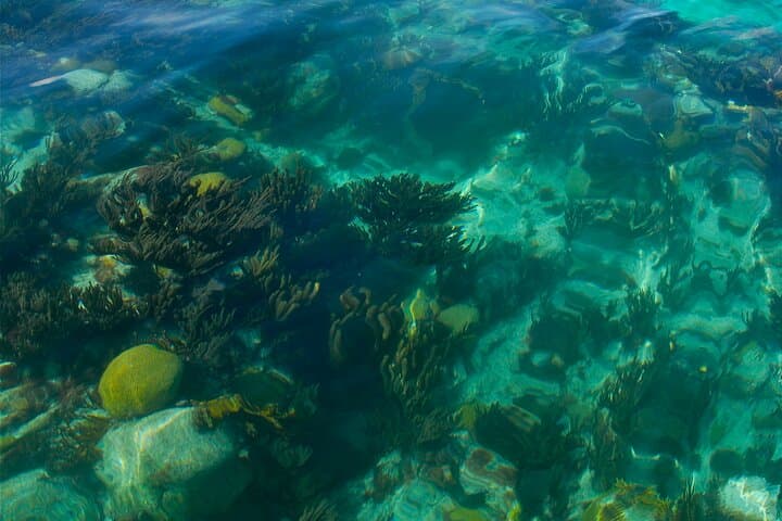 Two-Stop Snorkel & Shipwreck Adventure from Dockyard, Bermuda photo 2