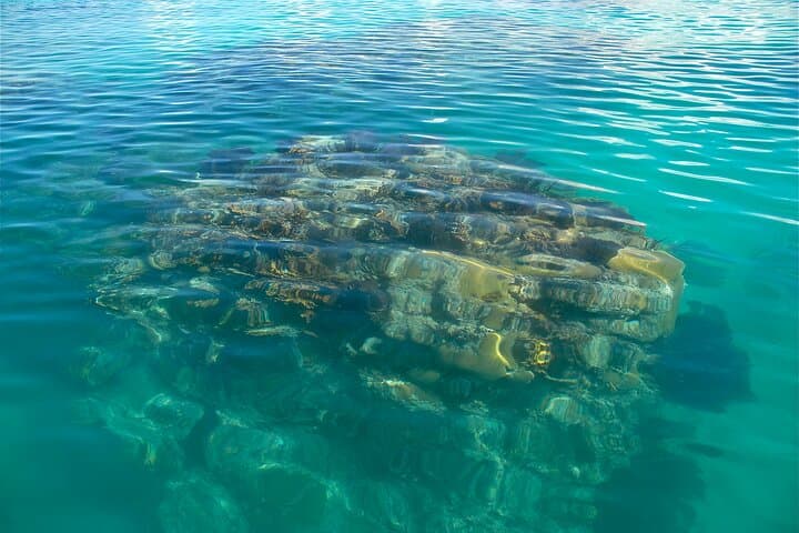 Two-Stop Snorkel & Shipwreck Adventure from Dockyard, Bermuda photo 4