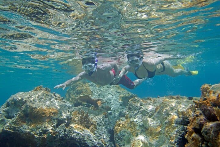 Two-Stop Snorkel & Shipwreck Adventure from Dockyard, Bermuda photo 3