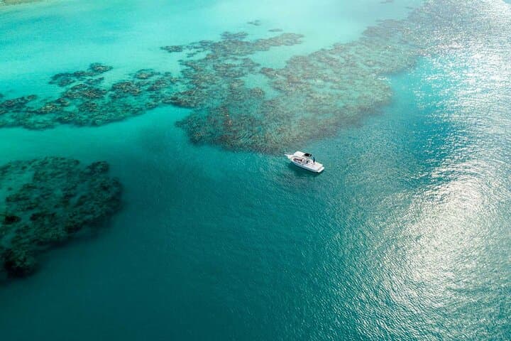Two-Stop Snorkel & Shipwreck Adventure from Dockyard, Bermuda