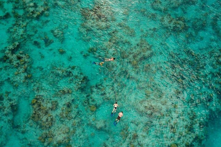 Two-Stop Snorkel & Shipwreck Adventure from Dockyard, Bermuda photo 5