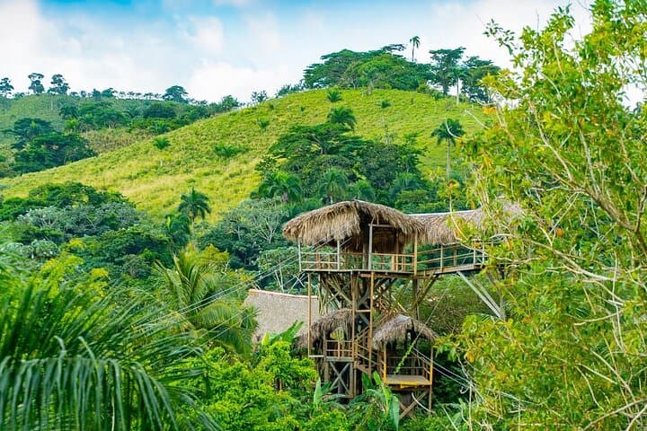 Full-Day Triple Adventure from Punta Cana: Buggies, Ziplines & Monkey Encounters photo 2
