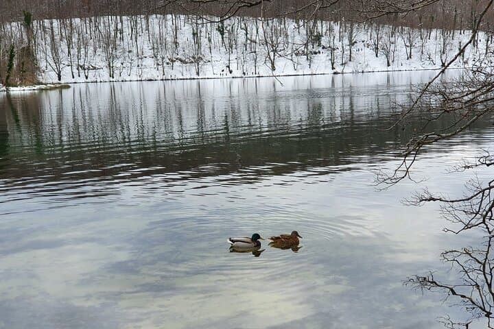 Plitvice Lakes Day Tour from Zagreb to Split — Private Transfer & Park Highlights photo 6