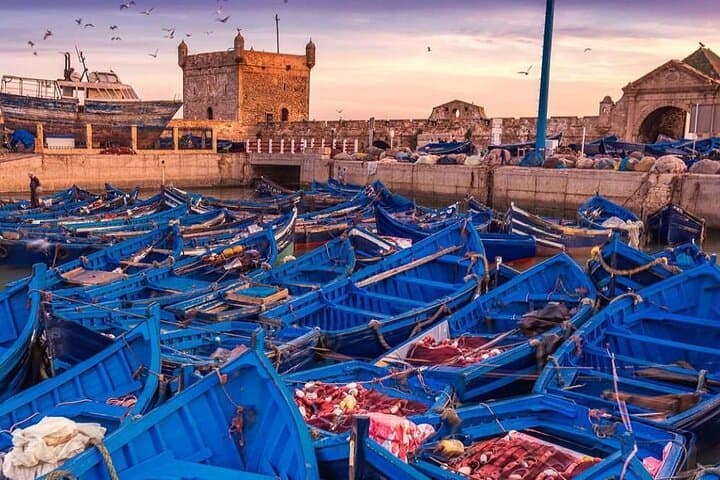 Essaouira Private Day Trip from Marrakech: Argan Groves, Medina & Atlantic Ramparts