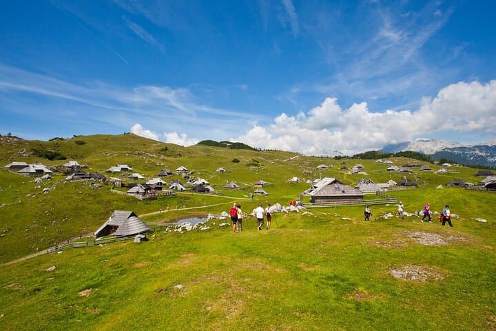 Velika Planina & Logarska Dolina Day Hike with River Picnic