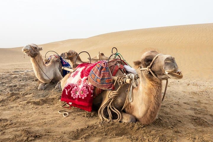 Agadir Small Desert Day Trip: Tiznit, Sidi Rabat Beach and Youssef Ben Tachfine Dam photo 3