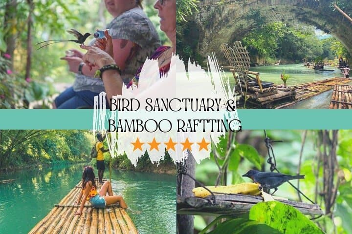 Rocklands Bird Sanctuary & Lethe Bamboo Rafting — Half-Day from Montego Bay