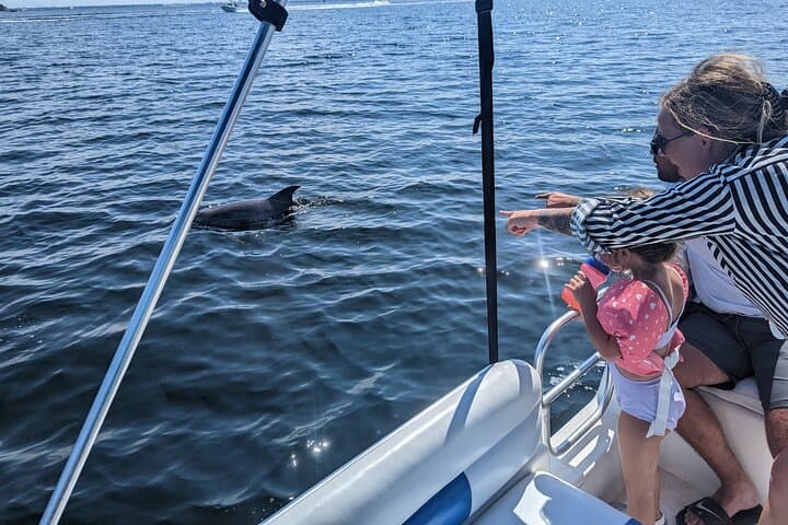 Destin Private Dolphin Tour with Marine Biologist: 3-Hour Shell Island & Snorkel Trip photo 3