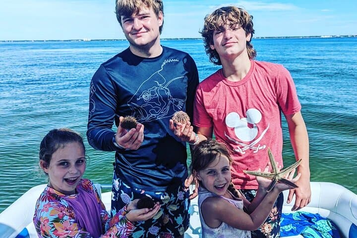 Destin Private Dolphin Tour with Marine Biologist: 3-Hour Shell Island & Snorkel Trip photo 1