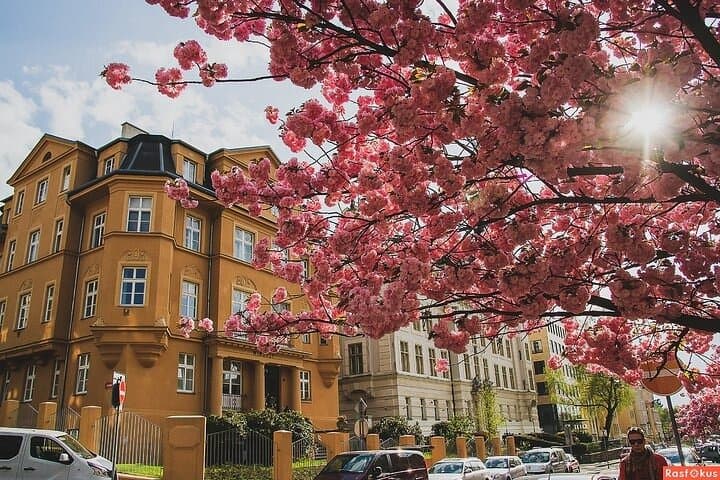 Berlin Schöneberg Coffee Walking Tour: Private 2-Hour Tasting Experience photo 5