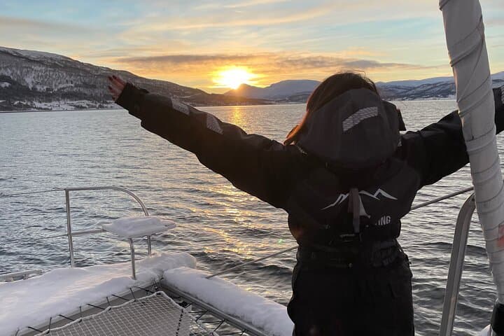 Luxury Fjord Cruise Around Tromsø on the Arctic Eagle: Wildlife, History & Sea Views photo 3