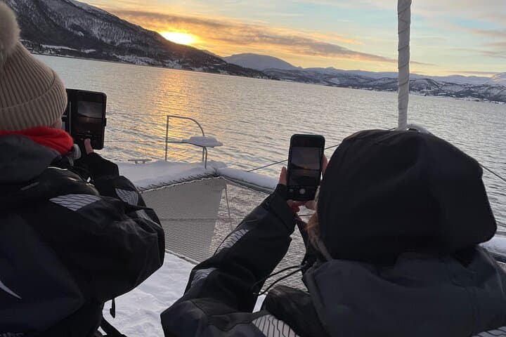 Luxury Fjord Cruise Around Tromsø on the Arctic Eagle: Wildlife, History & Sea Views photo 4