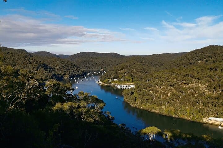 Private Central Coast Nature Tour from Sydney — Waterfalls, Wildlife & Wine