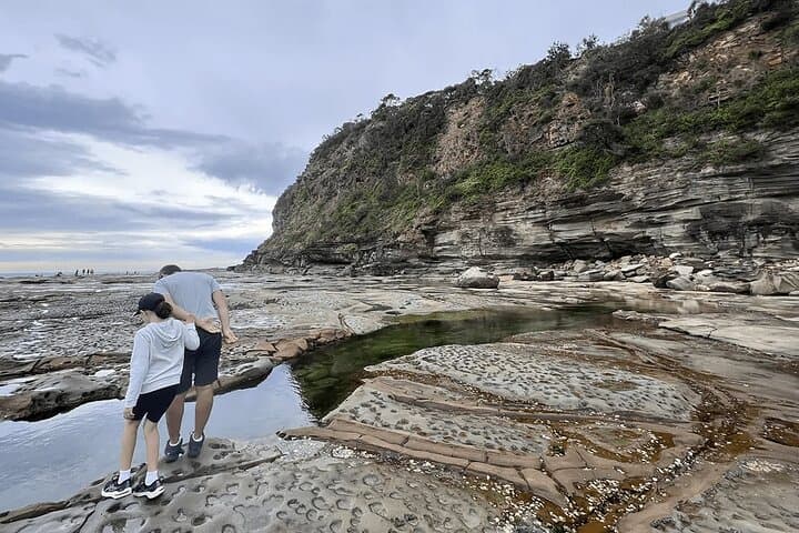 Private Central Coast Nature Tour from Sydney — Waterfalls, Wildlife & Wine photo 6