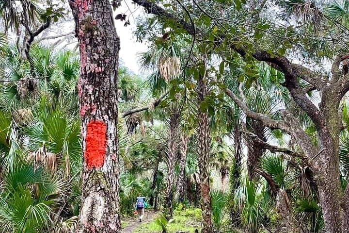 Guided Day Hike Through Florida Backcountry: Wetlands, Prairies & Wildlife