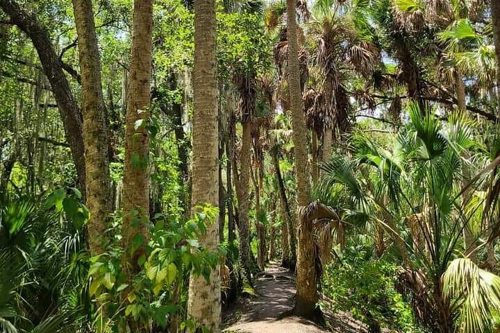 Guided Day Hike Through Florida Backcountry: Wetlands, Prairies & Wildlife photo 2