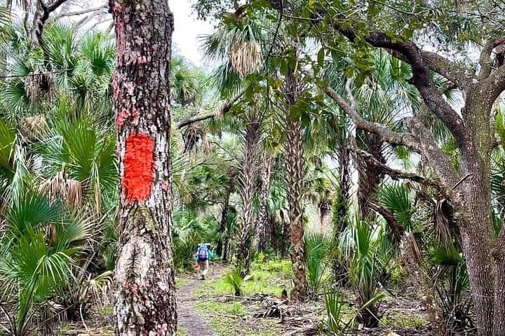 Guided Day Hike Through Florida Backcountry: Wetlands, Prairies & Wildlife photo 3