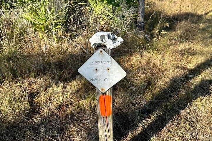 Guided Day Hike Through Florida Backcountry: Wetlands, Prairies & Wildlife photo 4