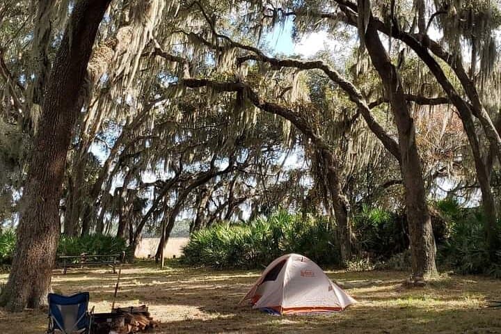 Guided Day Hike Through Florida Backcountry: Wetlands, Prairies & Wildlife photo 5