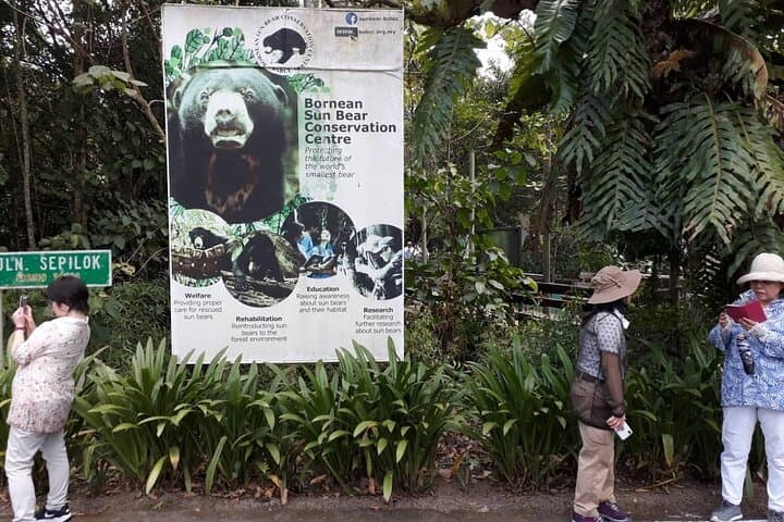 Full-Day Sepilok Orangutan & Sun Bear Tour from Kota Kinabalu — Wildlife Rescue Experience