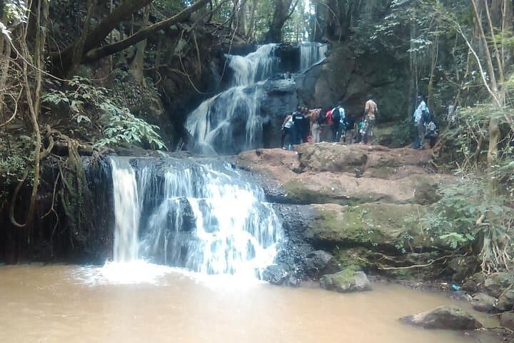 Karura Forest Hike & Trail Bike — Nairobi Day Tour Guide