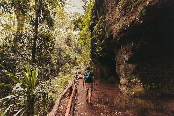 Karura Forest Hike & Trail Bike — Nairobi Day Tour Guide photo 2