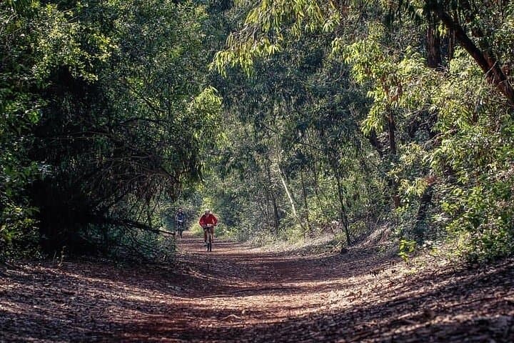 Karura Forest Hike & Trail Bike — Nairobi Day Tour Guide photo 3