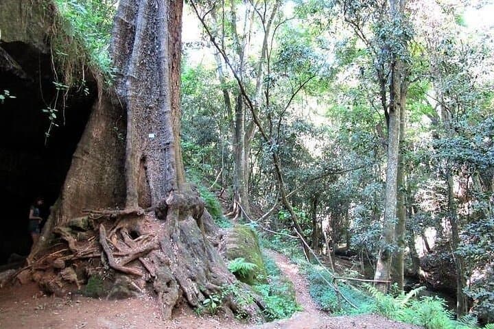 Karura Forest Hike & Trail Bike — Nairobi Day Tour Guide photo 4