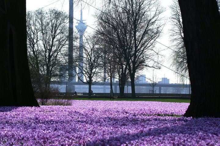 Sightrunning Düsseldorf: Private 60–90 Minute Running Tour Along the Rhine photo 5