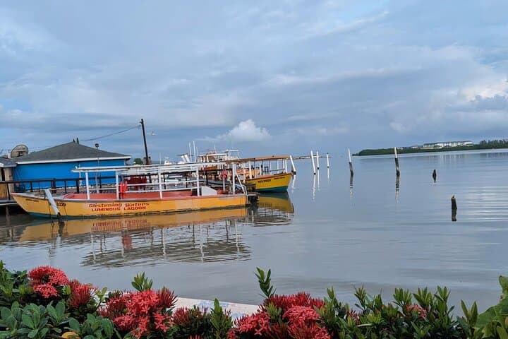 Private Luminous Lagoon (Glistening Waters) Tour from Montego Bay photo 6