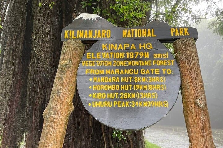 Mandara Hut Day Hike on Kilimanjaro — Marangu Route from Moshi or Arusha photo 3
