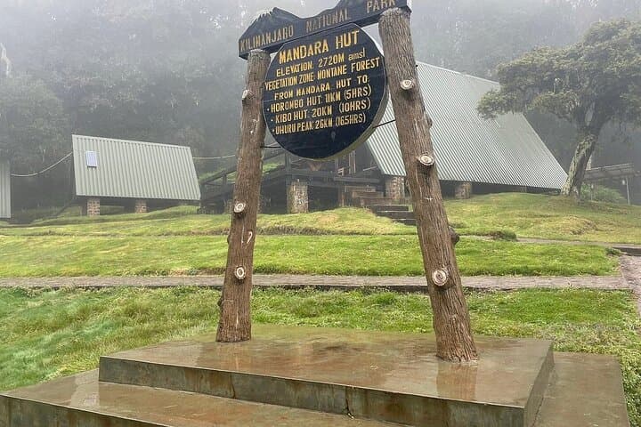 Mandara Hut Day Hike on Kilimanjaro — Marangu Route from Moshi or Arusha photo 5