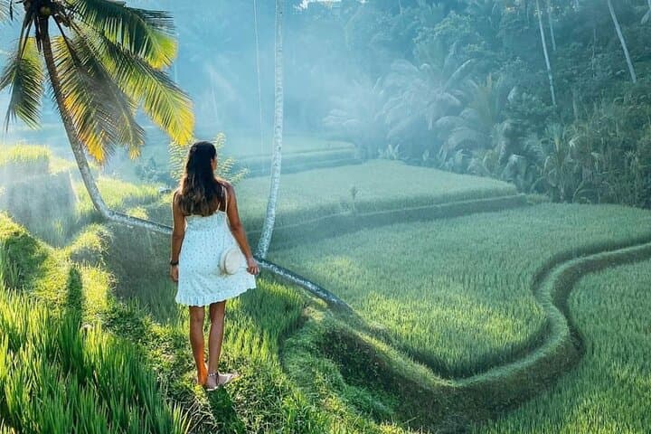 Custom Bali Full-Day: Private Car & Driver for Ubud Temples, Rice Terraces and Waterfalls photo 2