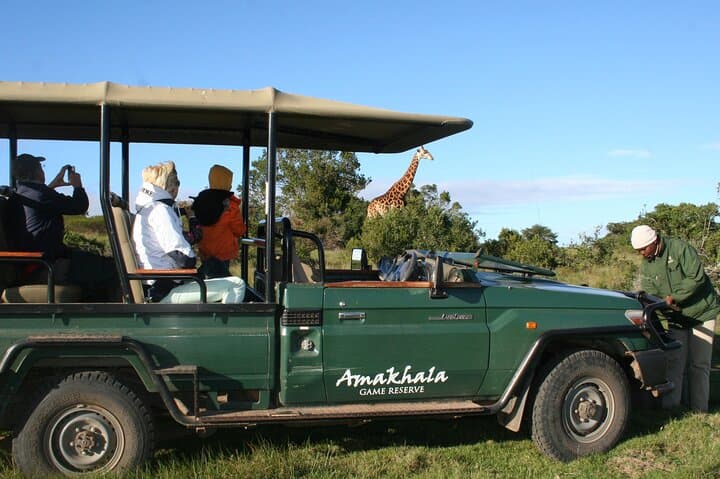 5-Day Big 5 Safari at Amakhala & Addo Elephant Park — Private Lodge Experience from Port Elizabeth