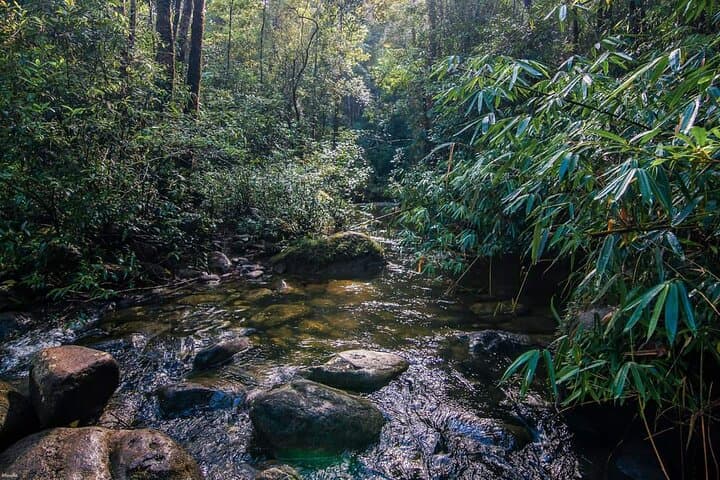 Phnom Kulen & Koh Ker Camping Trek: 4-Day Siem Reap Jungle Adventure photo 4